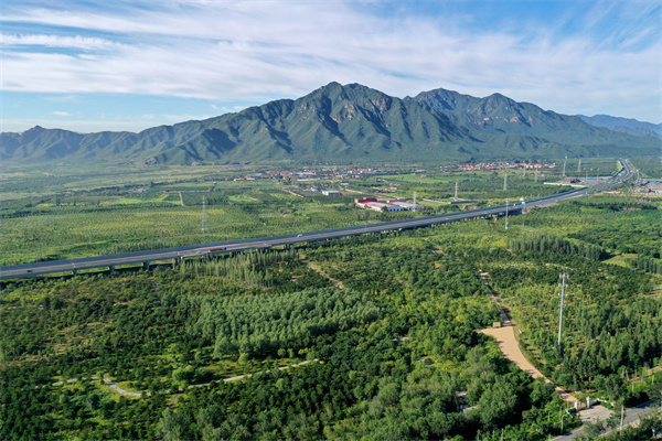 04-1昌平区京礼高速周边生态景观林.jpg