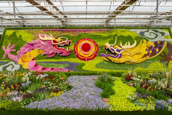 2024年春季花展中“双龙戏珠”景观惟妙惟肖.jpg