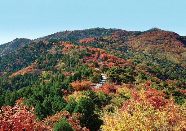 西山红叶.jpg