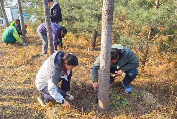 开展林业有害生物越冬基数调查和防治技术现场培训会.png