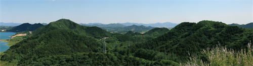 京津风沙源治理工程-密云水库涵养林 .jpg