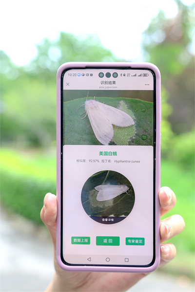 “拍照识虫”小程序2.0版本.jpg