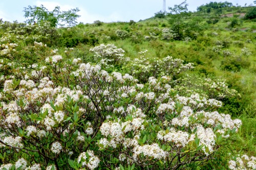 微信图片_20250912171058_1328_48.jpg 微信图片_20250912171058_1328_48.jpg