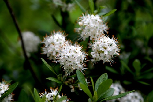 微信图片_20250912165209_1325_48.jpg 微信图片_20250912165209_1325_48.jpg