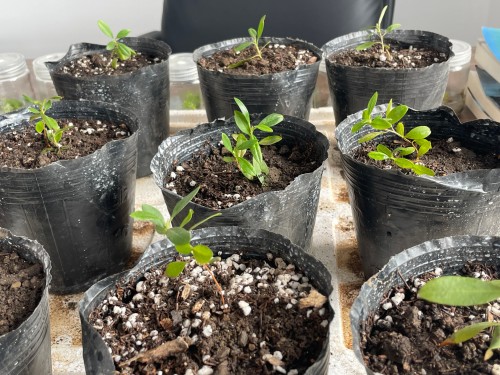 6e5f5b6fb8d949d6ebcfc9d6434f1b1.jpg 6e5f5b6fb8d949d6ebcfc9d6434f1b1.jpg