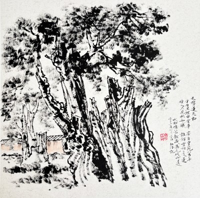 天坛公园莲花柏.jpg