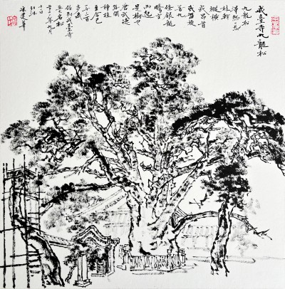 门头沟戒台寺九龙松.jpg