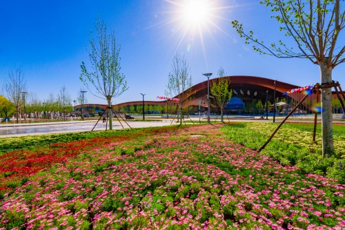 首都国际会展中心周边绿化.jpg 首都国际会展中心周边绿化.jpg