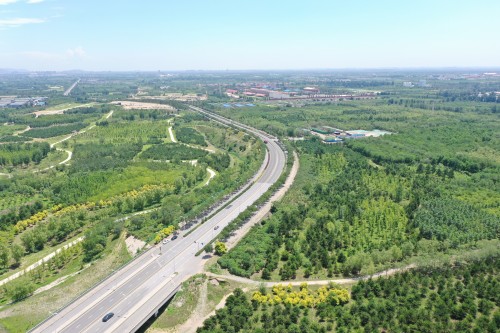 西部沙坑生态修复后形成森林景观.jpg 西部沙坑生态修复后形成森林景观.jpg