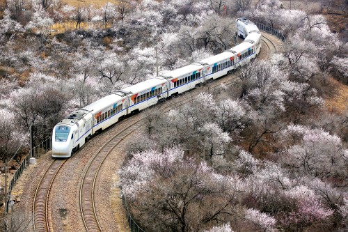 开往春天的列车.jpg 开往春天的列车.jpg