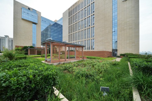 首发大厦屋顶花园 叶金钟摄影 (2).jpg