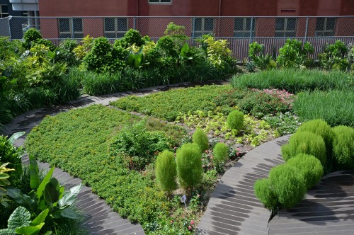 北京市正泽学校屋顶花园 叶金中摄影 (5).jpg