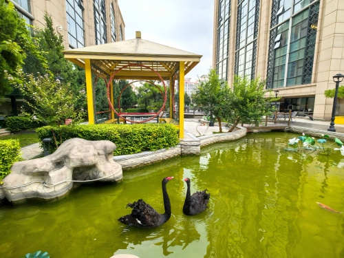 新疆大厦屋顶花园 (3)(1).jpg 新疆大厦屋顶花园 (3)(1).jpg