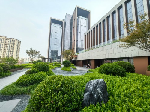 中国国际出版交流中心屋顶花园 (6).jpg