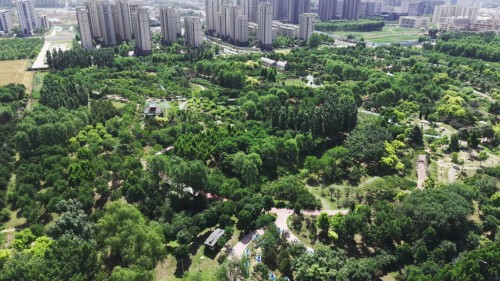 阅景公园.jpg 阅景公园.jpg