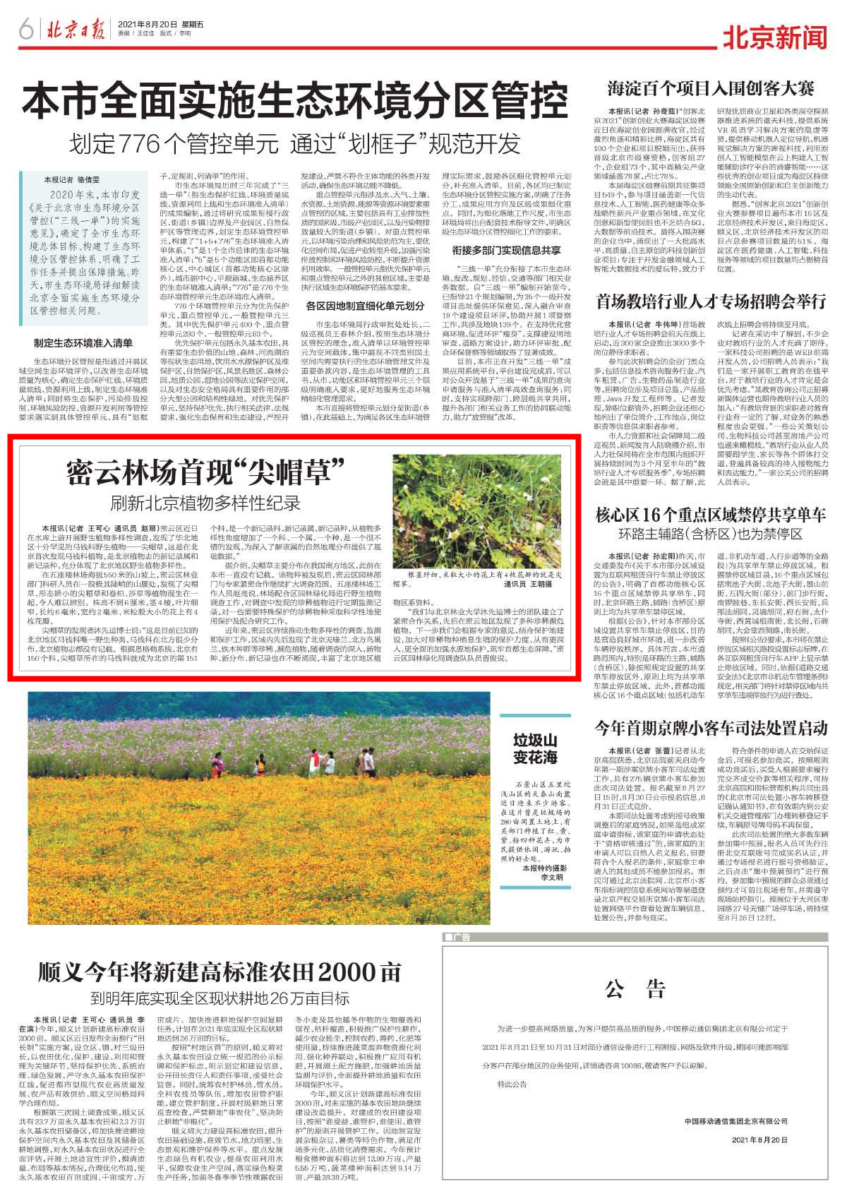 0820北京日报-密云林场首现“尖草帽”_副本.jpg