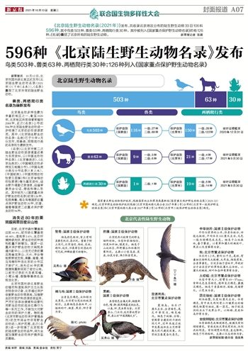 1013新京报-596种《北京陆生野生动物名录》发布.jpg