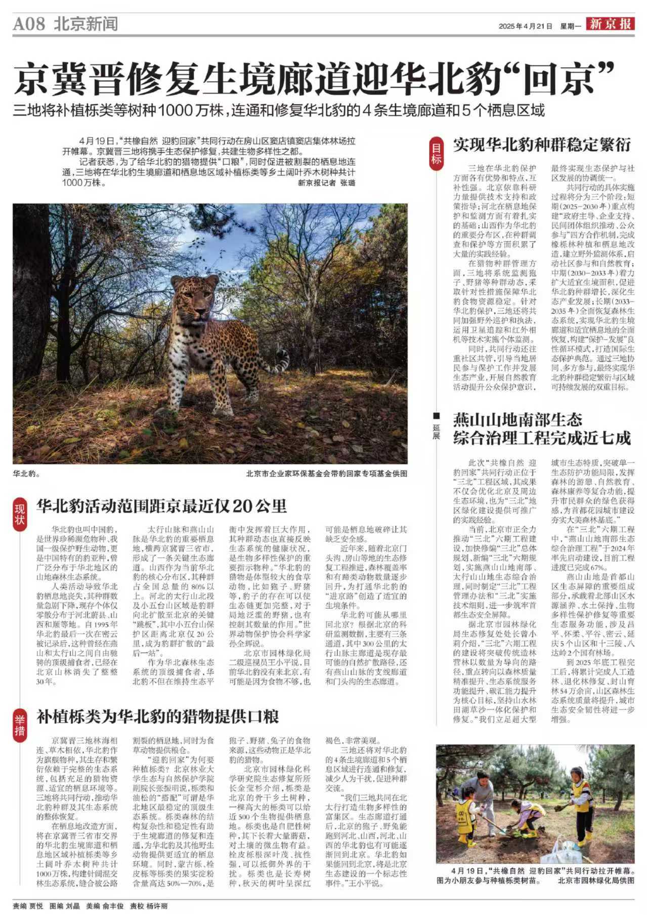 新京报-京冀晋修复生境廊道迎华北豹“回京”.jpg