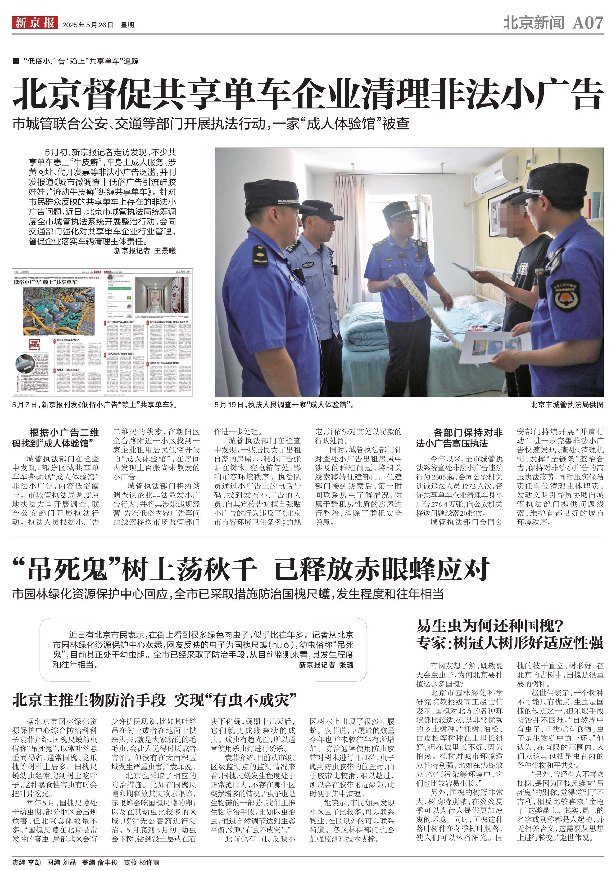 0526 新京报 “吊死鬼”树上荡秋千 已释放赤眼蜂应对.JPG