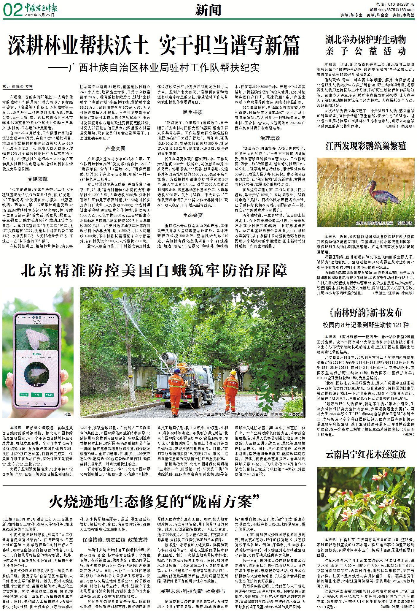 0625 北京精准防控美国白蛾.jpg