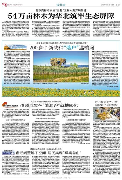 北京青年报-54万亩林木为华北筑牢生态屏障.jpg