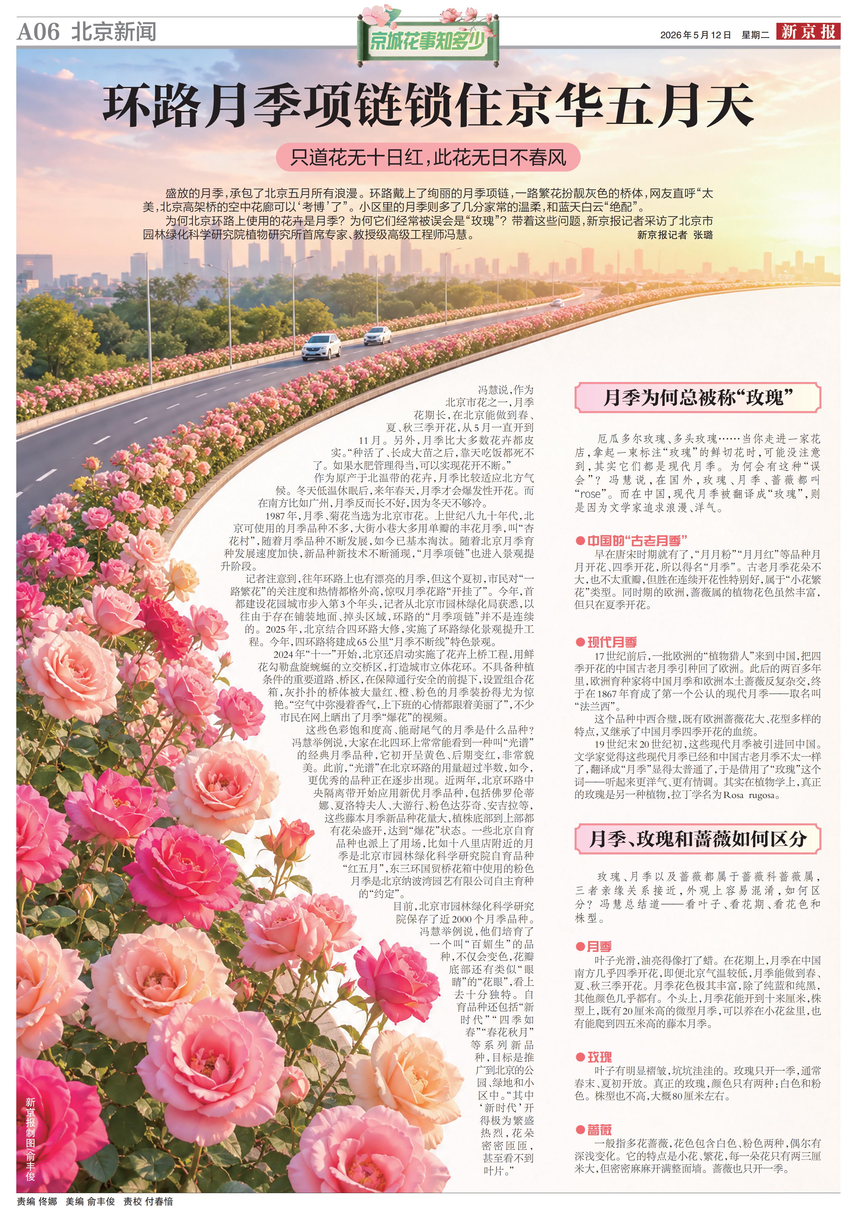 0512新京报-环路月季项链锁住京华五月天_00.jpg 0512新京报-环路月季项链锁住京华五月天_00.jpg