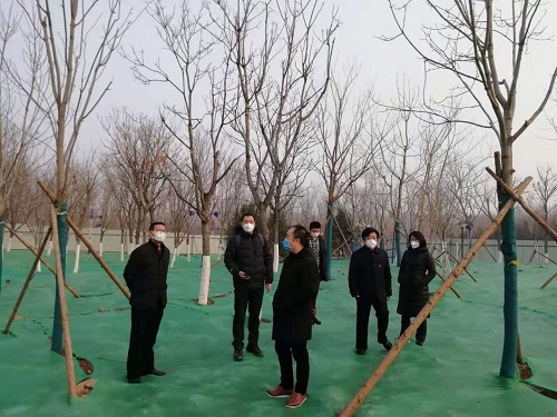 小平2.jpg